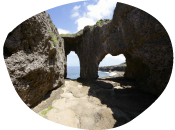 文化・歴史・伝統