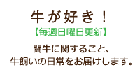 闘牛に関すること、牛飼いの日常をお届けします。