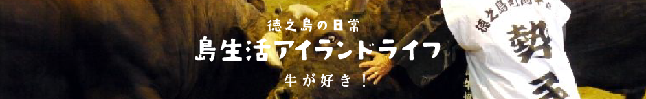 12/18花徳ミニ闘牛大会結果(12/19更新) - 徳之島「島生活」
