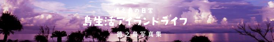 徳之島写真集 - 徳之島「島生活」